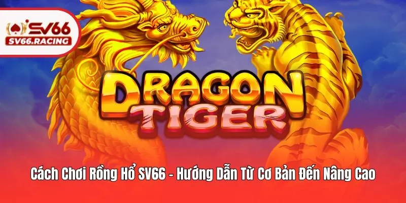 Cách Chơi Rồng Hổ SV66 – Hướng Dẫn Từ Cơ Bản Đến Nâng Cao